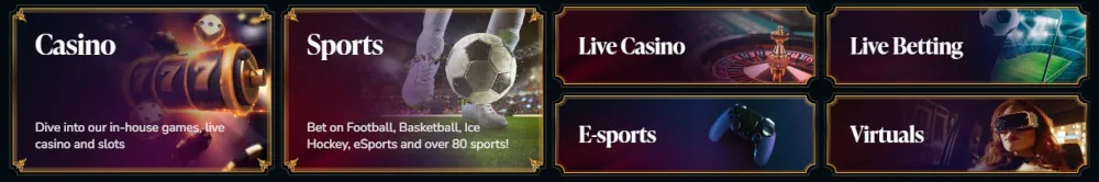 VIP Casino Games and Features